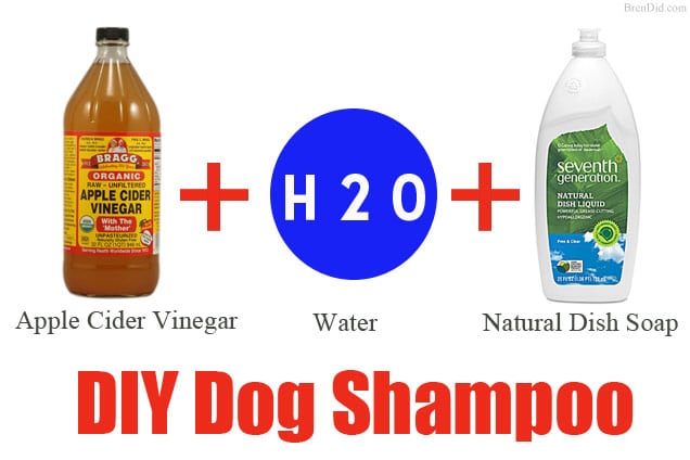 Natural dog shampoo hot sale diy