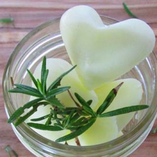 BrenDid.com Rosemary Infused Lotion Bon Bons - All natural, non-toxic luxurious lotion bars.
