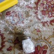 Carpet powder sprinkled on rug next to vacuum cleaner.