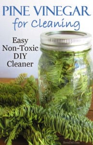 Like the smell of pine cleaners but don't like chemicals? Evergreen Scented Vinegar is an Easy DIY Cleaner made from fresh evergreen needles and vinegar. Get the full directions and learn which evergreen work best in the cleaner! Green cleaning DIY