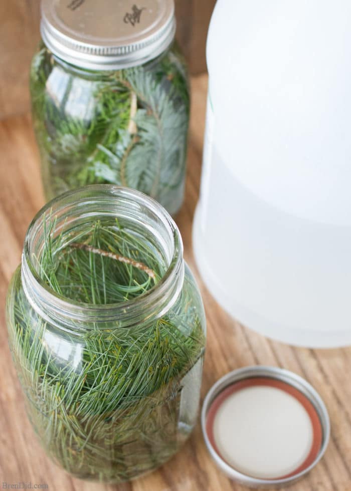 Evergreen scented vinegar for cleaning can be made with just two simple ingredients: vinegar and fresh evergreens. Learn how to make this easy pine scented cleaner today! 