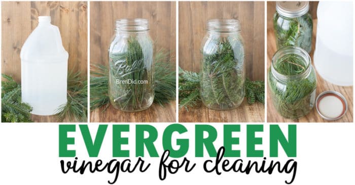 Evergreen scented vinegar for cleaning can be made with just two simple ingredients: vinegar and fresh evergreens. Learn how to make this easy pine scented cleaner today!