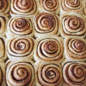 One hour cinnamon roll recipes from BrenDid.com . Fresh, fluffy cinnamon rolls from scratch in about an hour. Must try!