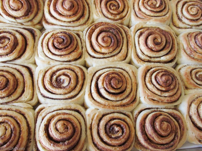 One hour cinnamon roll recipes from BrenDid.com . Fresh, fluffy cinnamon rolls from scratch in about an hour. Must try!