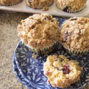 Are you a blueberry muffin lover? The Best Blueberry Streusel Muffin Recipe contains whole grains, very little refined sugar, and only healthy fats. The irresistible streusel topping is made with wheat germ, oats and flax seed instead of butter and sugar.