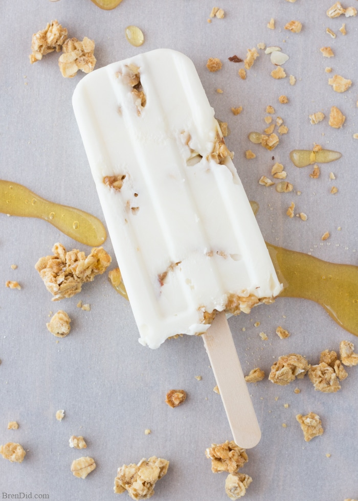 Healthy Frozen Yogurt Bars with Honey and Granola--Super simple to make + a perfect treat for hot summer days! These whipped yogurt bars have a bit of sweet honey and crunchy granola. Serve them for dessert, snacks, or even as breakfast popsicles!