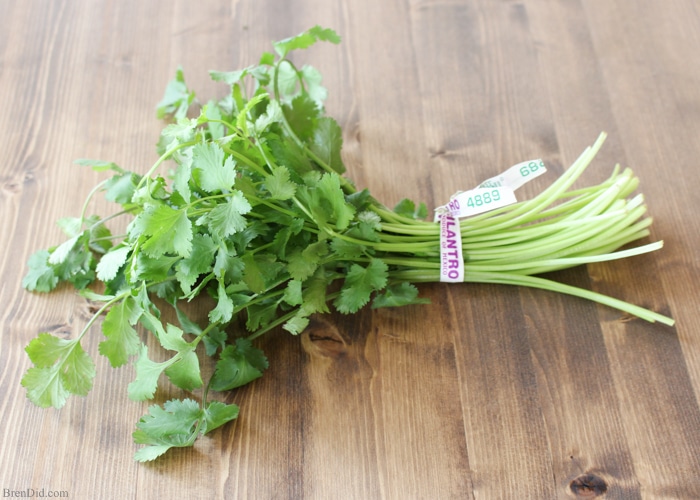 Love cooking with fresh herbs, but hating hate wasting leftovers? There is an easy storage trick that can help leafy herbs such as cilantro last up to 6 weeks! Learn more at BrenDid.com.