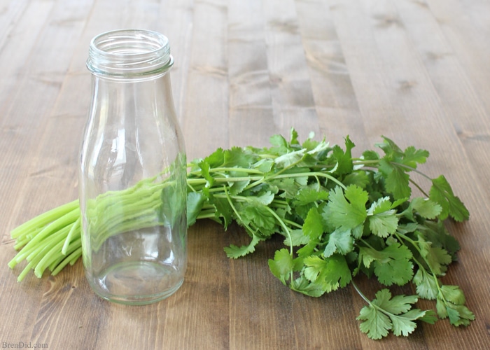 Love cooking with fresh herbs, but hating hate wasting leftovers? There is an easy storage trick that can help leafy herbs such as cilantro last up to 6 weeks! Learn more at BrenDid.com.