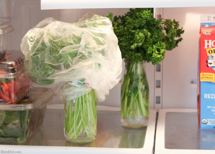 Love cooking with fresh herbs, but hating hate wasting leftovers? There is an easy storage trick that can help leafy herbs such as cilantro last up to 6 weeks! Learn more at BrenDid.com.