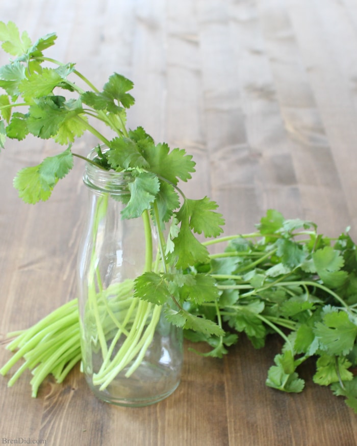 Love cooking with fresh herbs, but hating hate wasting leftovers? There is an easy storage trick that can help leafy herbs such as cilantro last up to 6 weeks! Learn more at BrenDid.com.