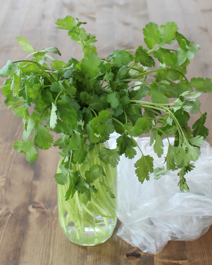 Love cooking with fresh herbs, but hating hate wasting leftovers? There is an easy storage trick that can help leafy herbs such as cilantro last up to 6 weeks! Learn more at BrenDid.com.