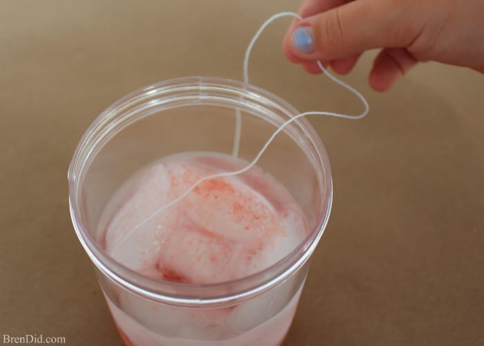 Cool Science Experiments for Kids – Get your kids interested in STEM → science, technology, engineering, and math with these easy science projects using physics and chemistry. Create a glitter tornado, shine pennies then turn them green, and catch ice on a string using supplies you have around the house. Smart is the New Cool! #free printable #STEM #lesson plan