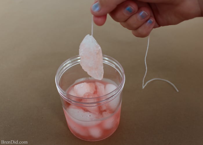 Fishing for Ice - Cool Science Experiments for Kids – Get your kids interested in STEM → science, technology, engineering, and math with these easy science projects using physics and chemistry. Create a glitter tornado, shine pennies then turn them green, and catch ice on a string using supplies you have around the house. Smart is the New Cool! #free printable #STEM #lesson plan