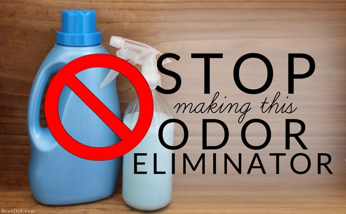 Homemade cat clearance urine odor eliminator