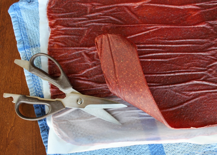 My easy homemade fruit leather recipe uses wild plums and apples to make a delicious fruit leather with no refined sugar. It can be made with many fruits!