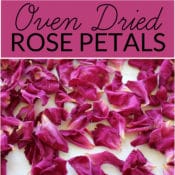 How to dry rose petals for natural body care recipes, crafts, décor and biodegradable confetti.