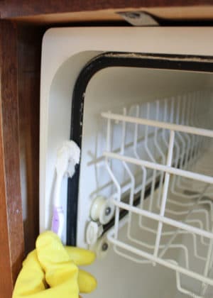 Green Dishwasher Cleaning & Tune Up - Bren Did
