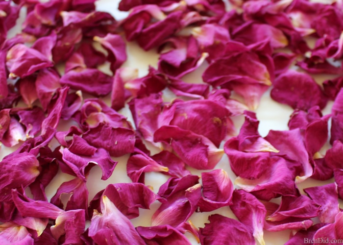 Dry rose petals