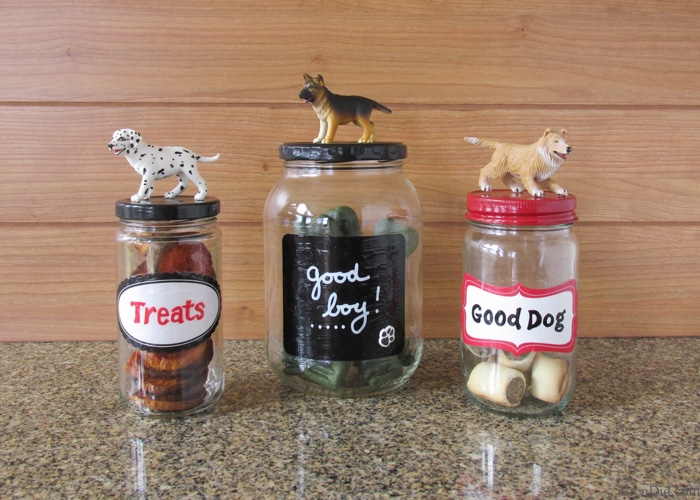 Dog Treat Jar DIY - Bird's Eye Meeple