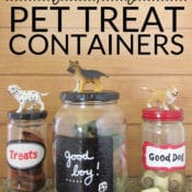Easy Upcycled Pet Treat Container - Making craft projects from recycled materials is a great way to save on craft costs while reducing waste. These adorable upcycled pet treat jars reuse glass jars from your kitchen.