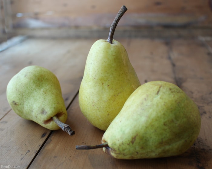 Pear sauce and pear leather are easy pear recipes to make with fresh pears. Pear sauce freezes and cans well. Pear leather is a great sugar free snack. They are the perfect use for extra pears. 