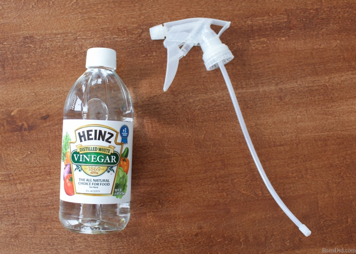 vinegar spray bottle