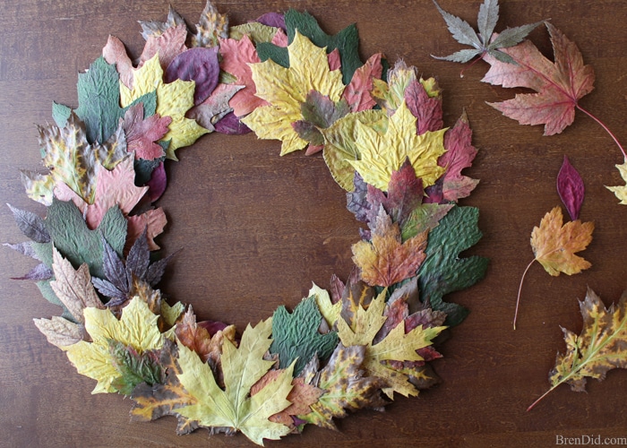 Pressed fall leaves can be made into a lovely and frugal front door wreath. Learn a quick and easy method to preserve fall leaves and make this simple wreath today! 