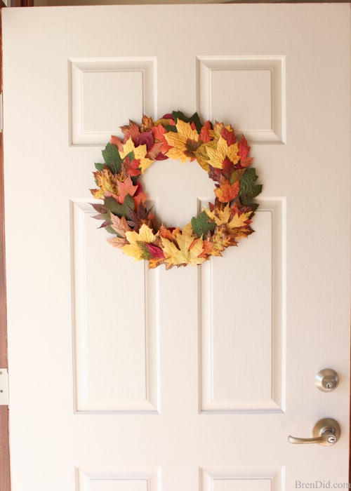 Pressed fall leaves can be made into a lovely and frugal front door wreath. Learn a quick and easy method to preserve fall leaves and make this simple wreath today! 