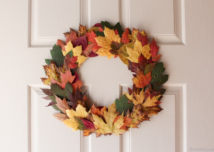 Pressed fall leaves can be made into a lovely and frugal front door wreath. Learn a quick and easy method to preserve fall leaves and make this simple wreath today! 