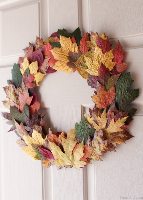 Pressed fall leaves can be made into a lovely and frugal front door wreath. Learn a quick and easy method to preserve fall leaves and make this simple wreath today! 