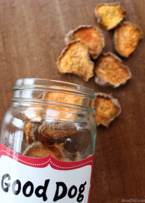 Diy Low Calorie Dog Treats : Crispy Pumpkin Dog Treat ...