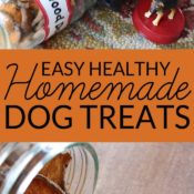 Commercial dog treats can be full of corn or other questionable ingredients. Make your own easy homemade dog treats with this one ingredient tutorial and feed your pet healthy homemade dog treats.