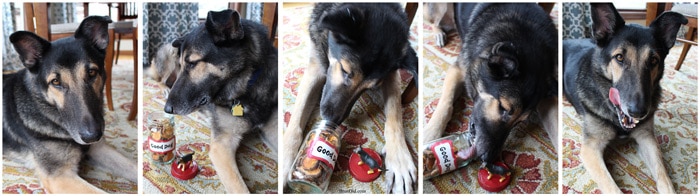 healthy treats for german shepherds