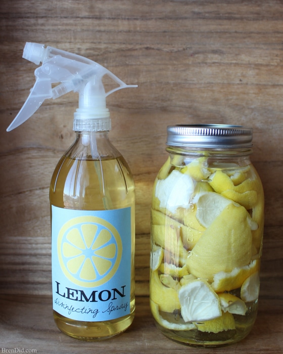 Easy All-Natural Homemade Foaming Hand Soap - Bren Did