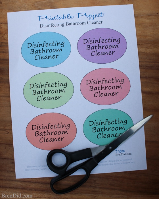 DIY cleaning products are safe, effective and frugal. Learn how to make All-Natural Bathroom Disinfectant Cleaner that gets your bathroom sparkling clean. Green clean your home.