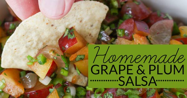 Must try for the Super Bowl or New Year's Eve! Grape and plum homemade salsa is a great alternative to basic chips and dip. Spicy sweetness make it the perfect easy appetizer. Great for parties and the star of Super Bowl snacks.