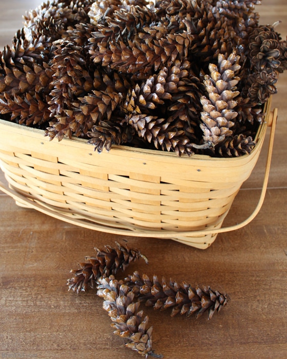 How to clean pine cones