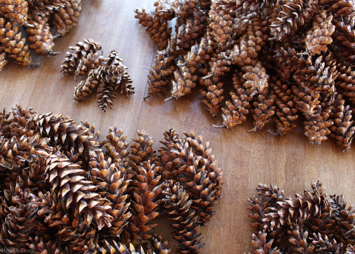 Pine cones collected outdoors can bring mold, mildew or bugs into your home unless they are correctly prepared for indoor use. Learn how to prepare pine cones for crafts. No bleach. All-natural. Free!