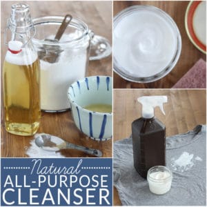 This Natural All-Purpose Cleanser is a workhorse! It is a bathtub and sink cleaner, a toilet cleaner, a glass top stove cleaner, an oven cleaner, a cutting board cleaner, a dishwasher detergent, a pot & pan cleaner, a laundry stain treater, a carpet stain remover, a tile and grout scrub and more! Plus it is an all-natural, green cleaner that is so gentle you can use it to exfoliate! Get the easy, 2-ingredient recipe on BrenDid.com!