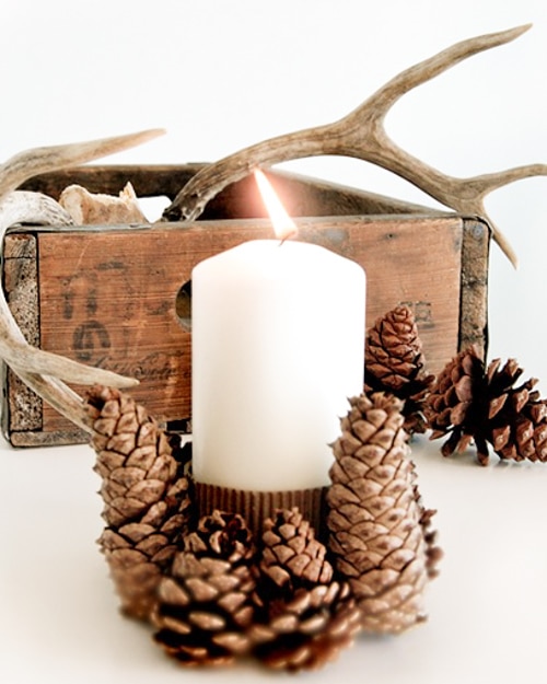 HOMSFOU 4pcs Pine Cone Candle Holder Pinecones Party Candle Holder Rustic  Candlesticks Household Window : : Home