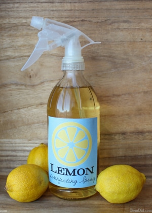 Best Cleaning Products Must Have – Honey and Lemon Life