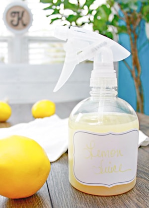 Best Cleaning Products Must Have – Honey and Lemon Life