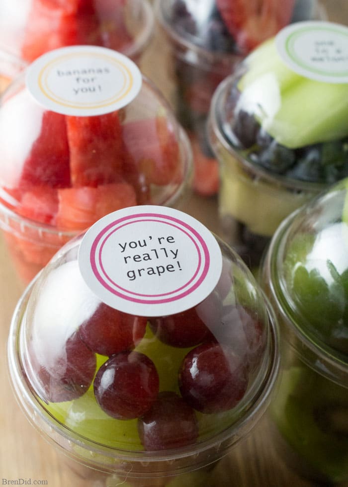 20 Adorable Fruit Cups for Kids: A Year of Healthy Snacks - Bren Did