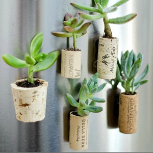 20 Upcycled Home Décor Items That You'll Actually Want To Make