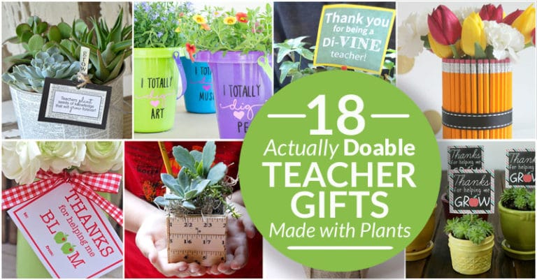 18 Beautiful (and Easy) Plant Gifts for Teachers - Bren Did