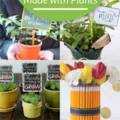 adorable teacher gifts from plants from Bren Did