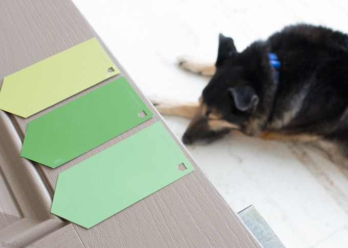 Lowes Green Paint Swatches