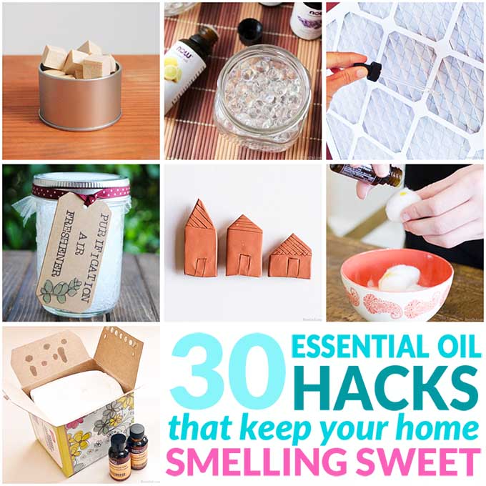 30 Ways To Naturally Scent Your Home With Essential Oils,Miniature Roses In Containers