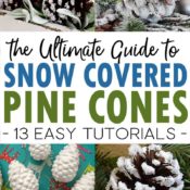 snow covered pine cones pin