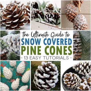 the ultimate guide snow covered pine cones square